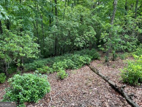 Lot 57 Asheland Overlook Young Harris GA 30582