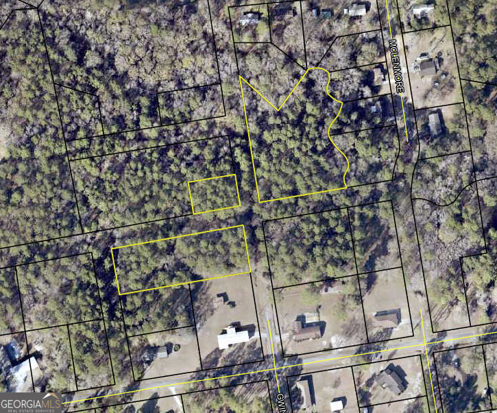 0 Mclemore Street Lyons GA 30436