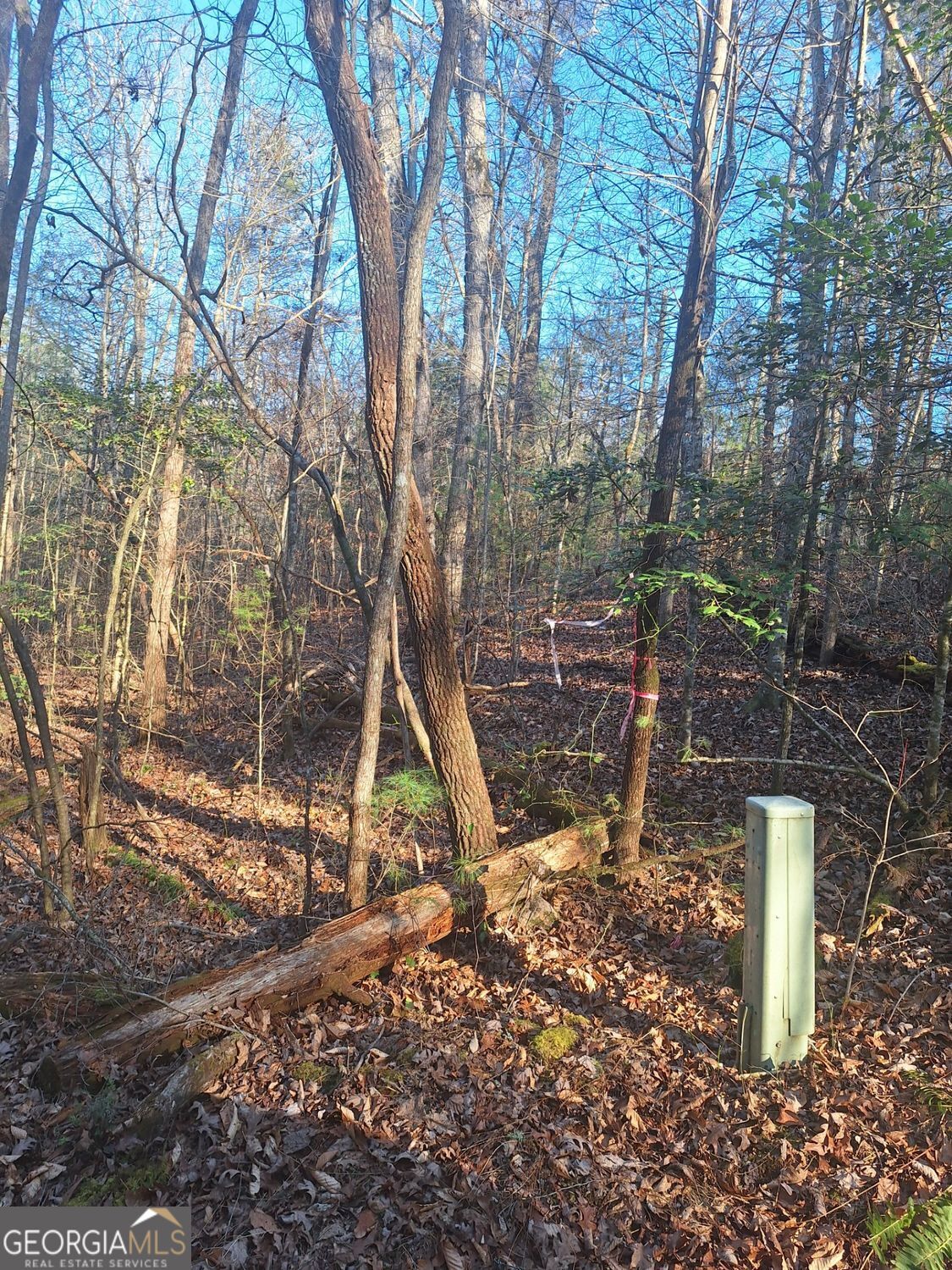 Lots 15a 16a 17 Mill Creek Acres Lane Blue Ridge GA 30513