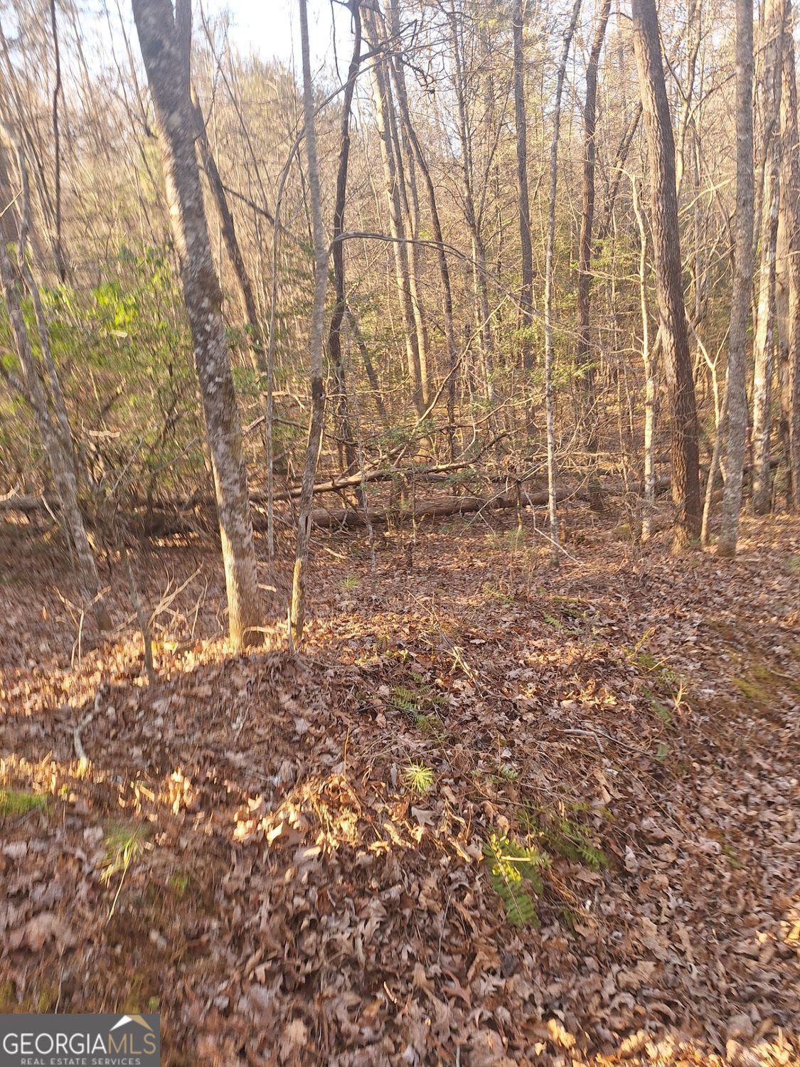Lots 15a 16a 17 Mill Creek Acres Lane Blue Ridge GA 30513