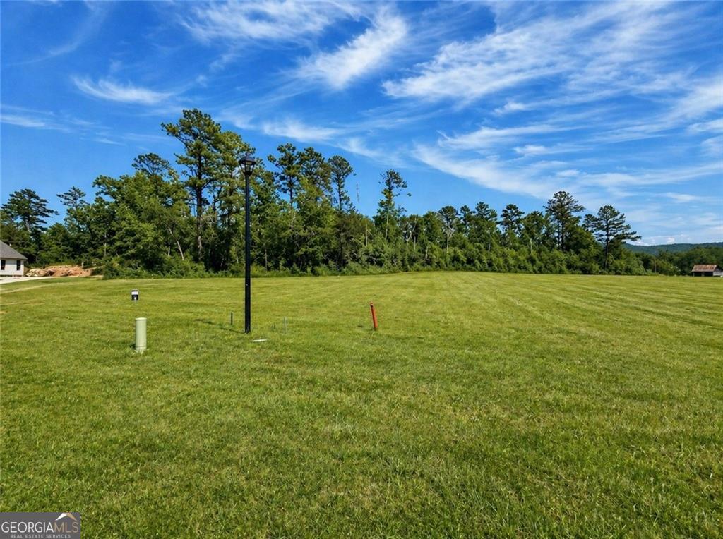 120 Palisade Drive Rydal GA 30171