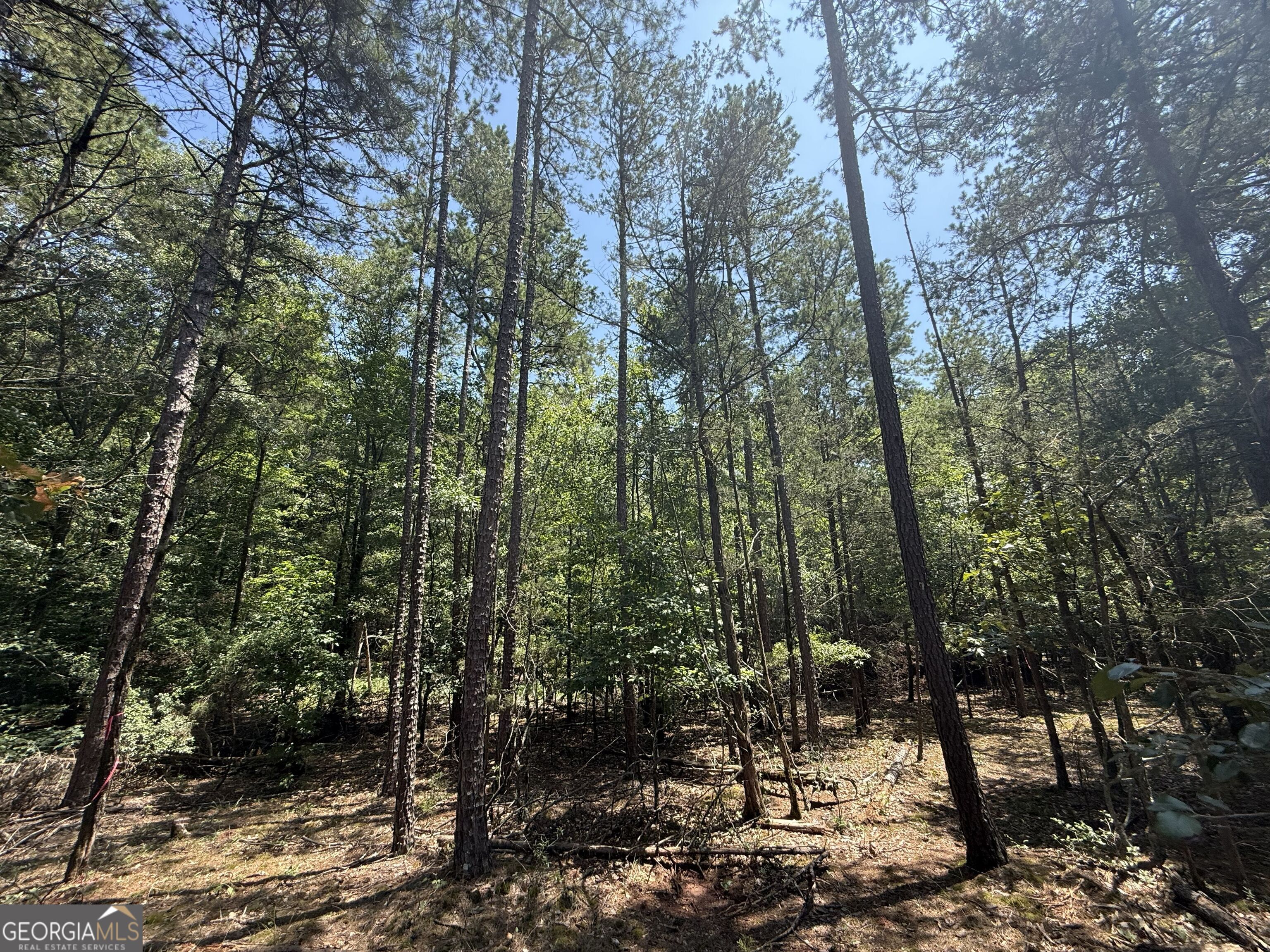 2128 Amberly Road Elberton GA 30635