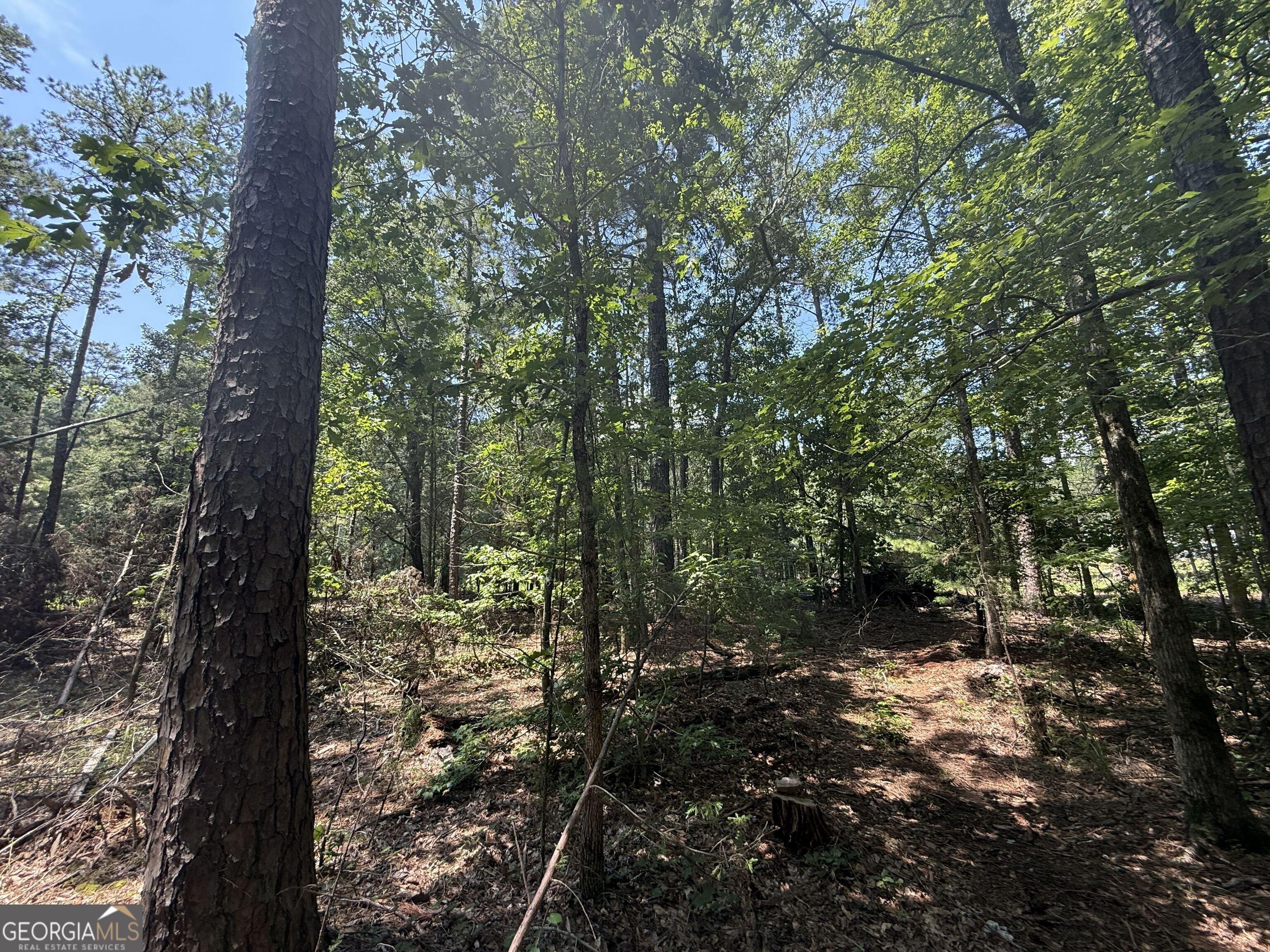 2128 Amberly Road Elberton GA 30635