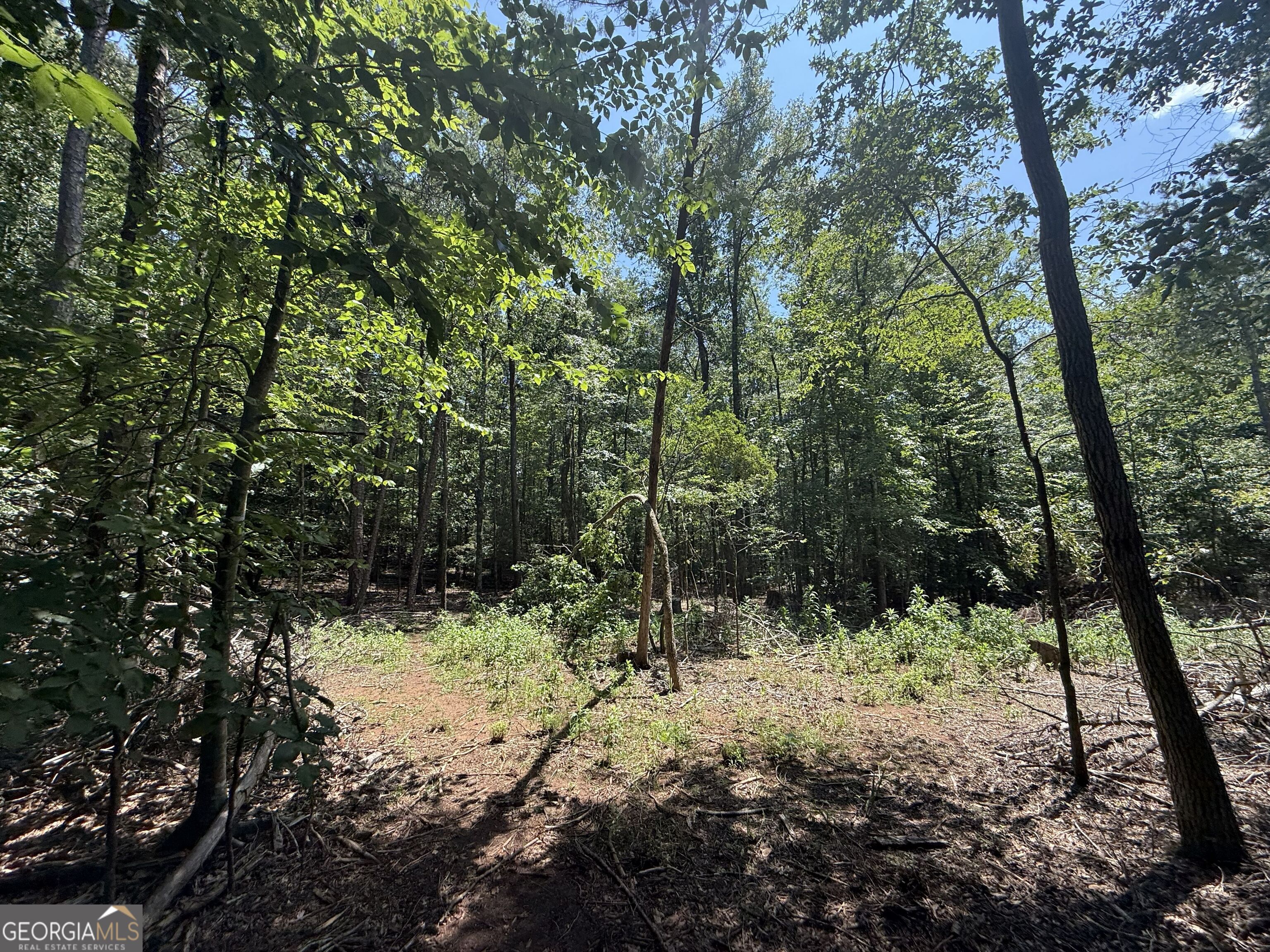 2128 Amberly Road Elberton GA 30635