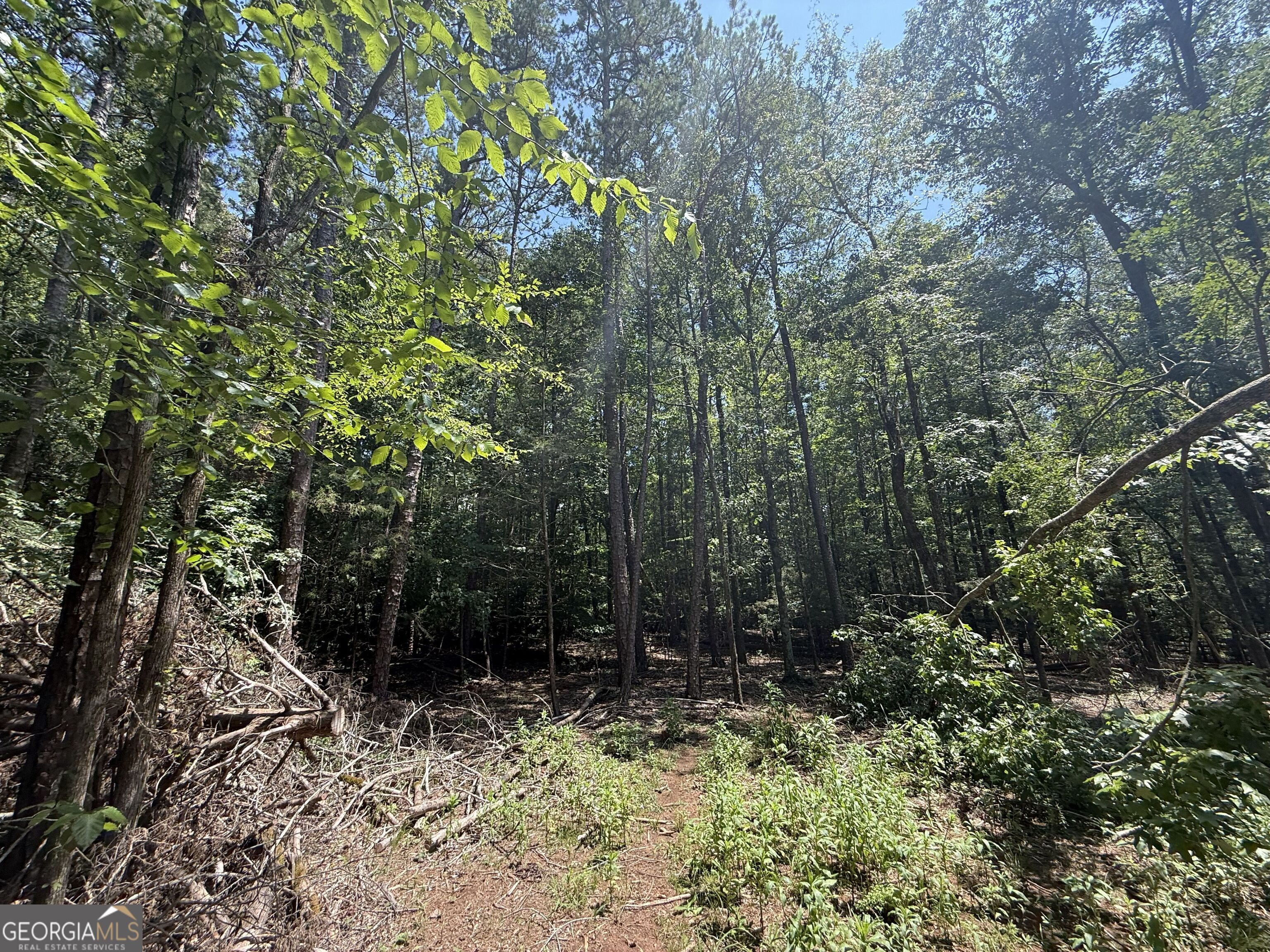 2128 Amberly Road Elberton GA 30635