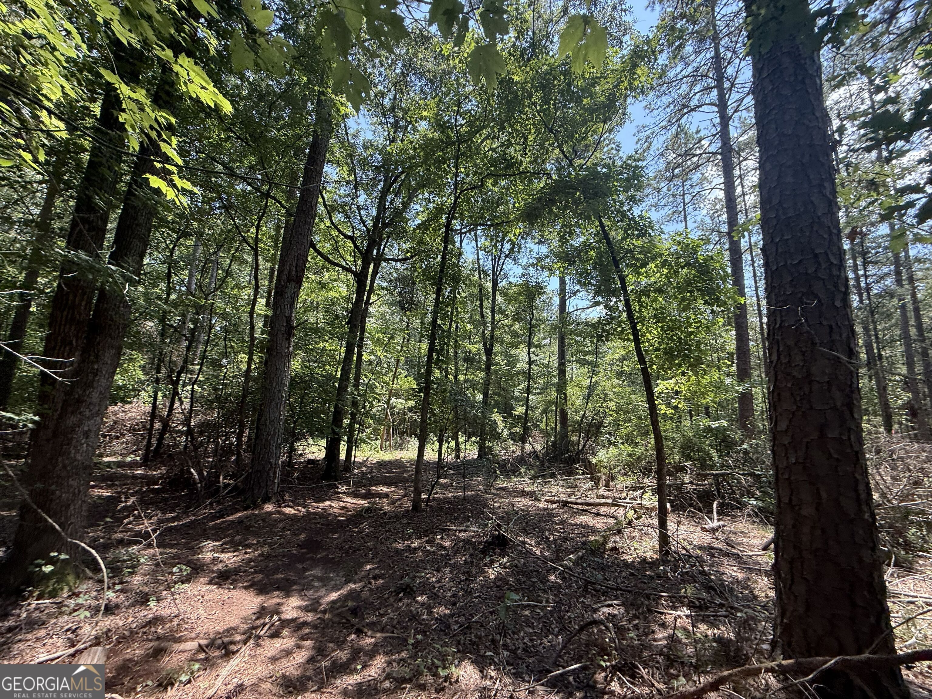 2128 Amberly Road Elberton GA 30635