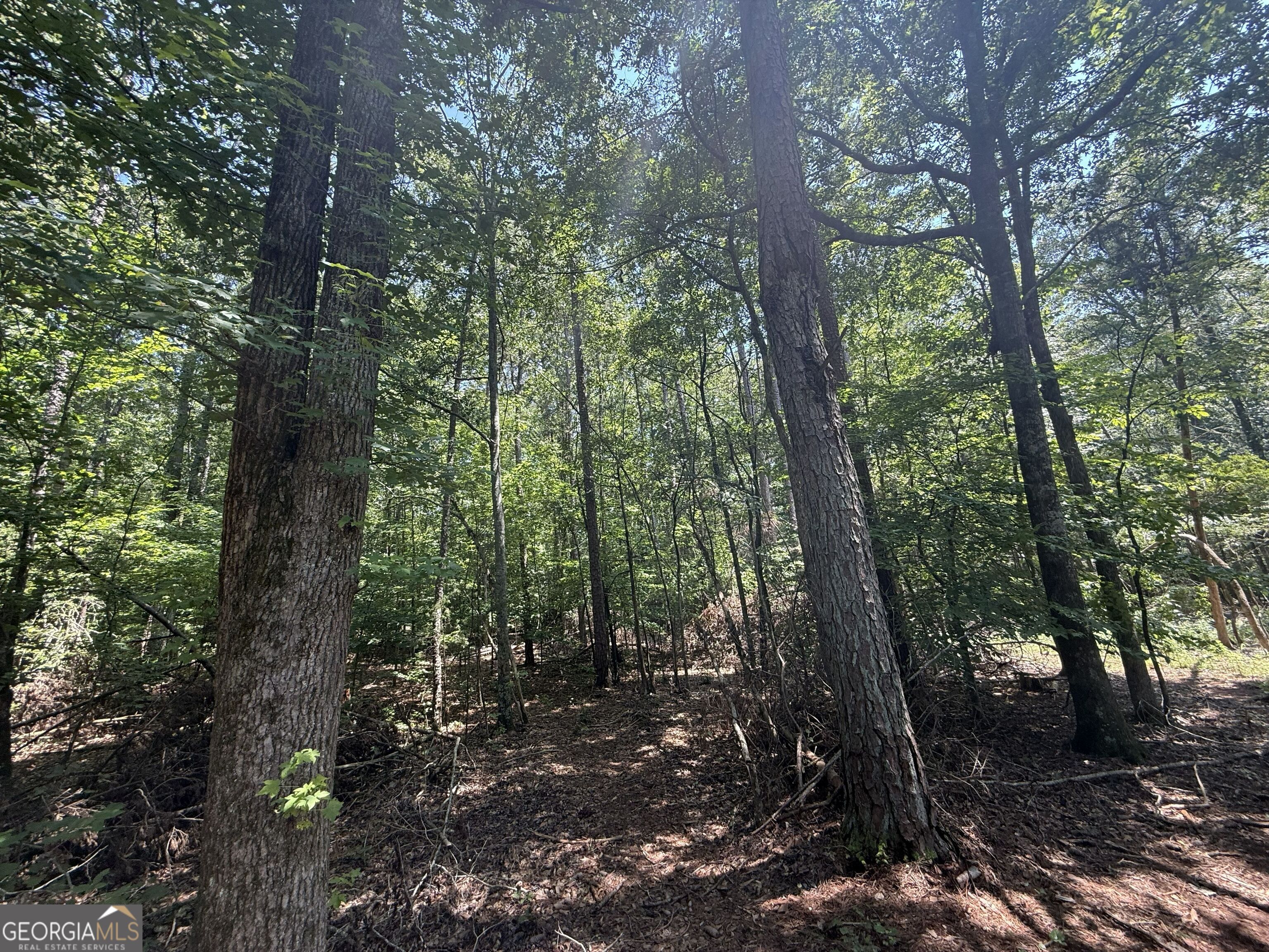 2128 Amberly Road Elberton GA 30635