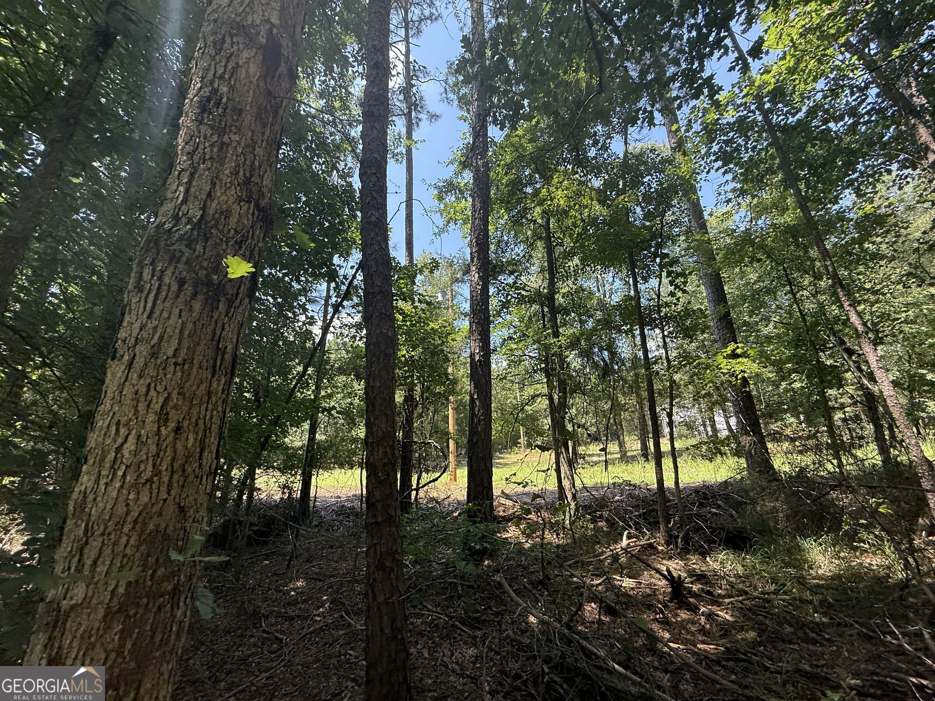 2128 Amberly Road Elberton GA 30635