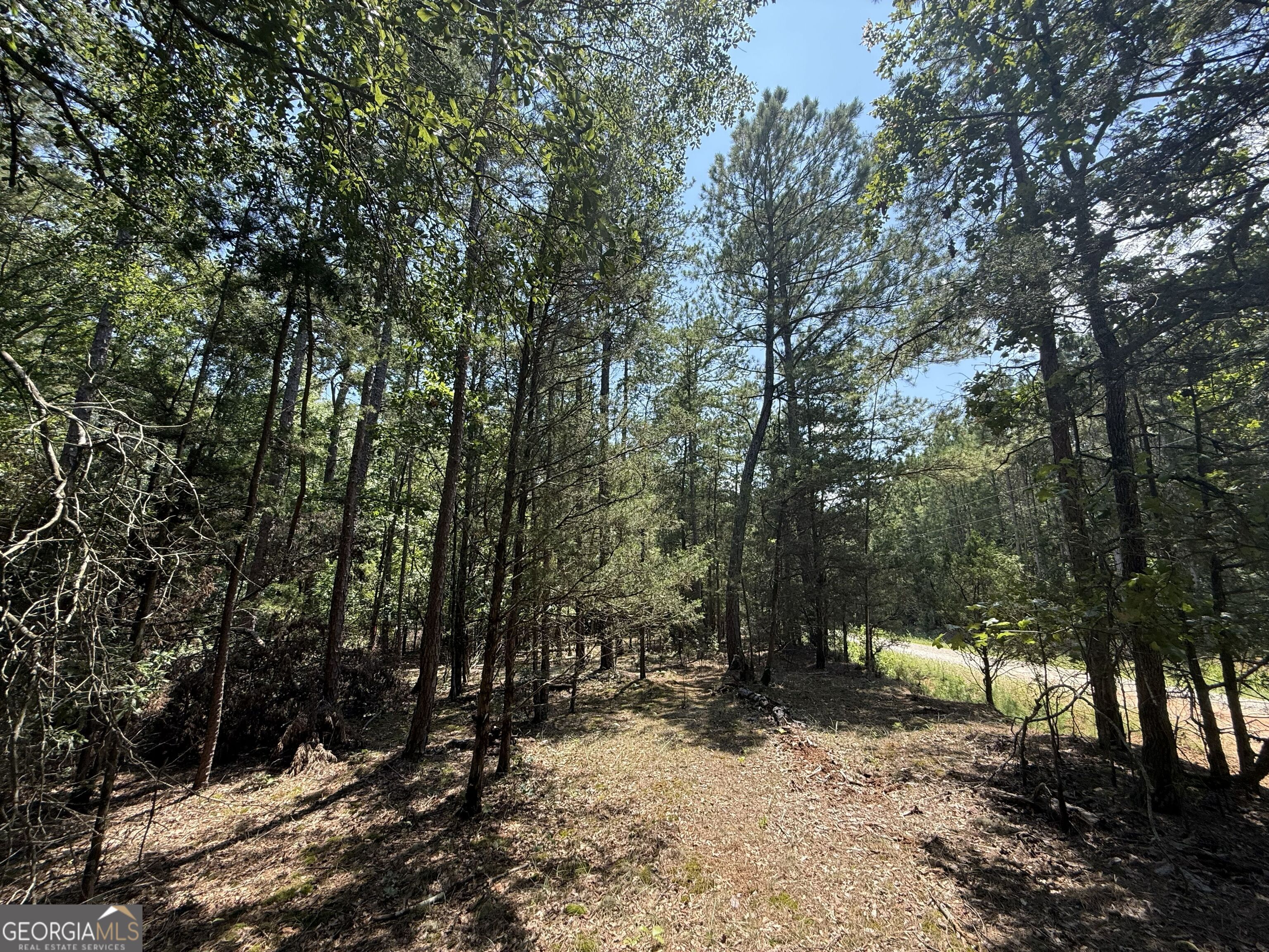 2128 Amberly Road Elberton GA 30635