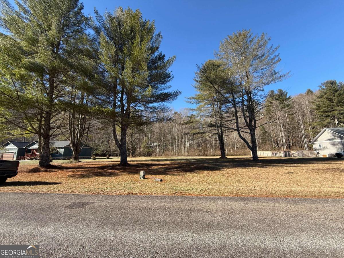 Lot 77 Big Pine Drive Hiawassee GA 30546