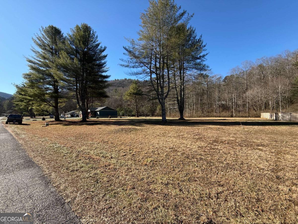 Lot 77 Big Pine Drive Hiawassee GA 30546