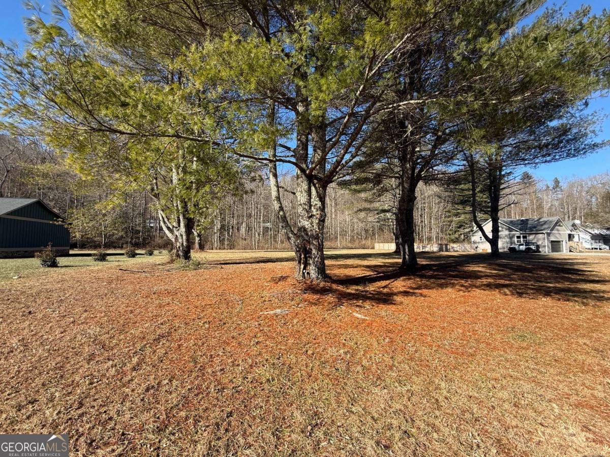 Lot 77 Big Pine Drive Hiawassee GA 30546