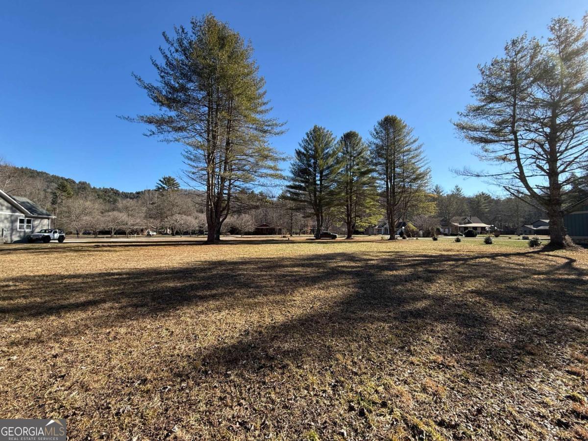 Lot 77 Big Pine Drive Hiawassee GA 30546