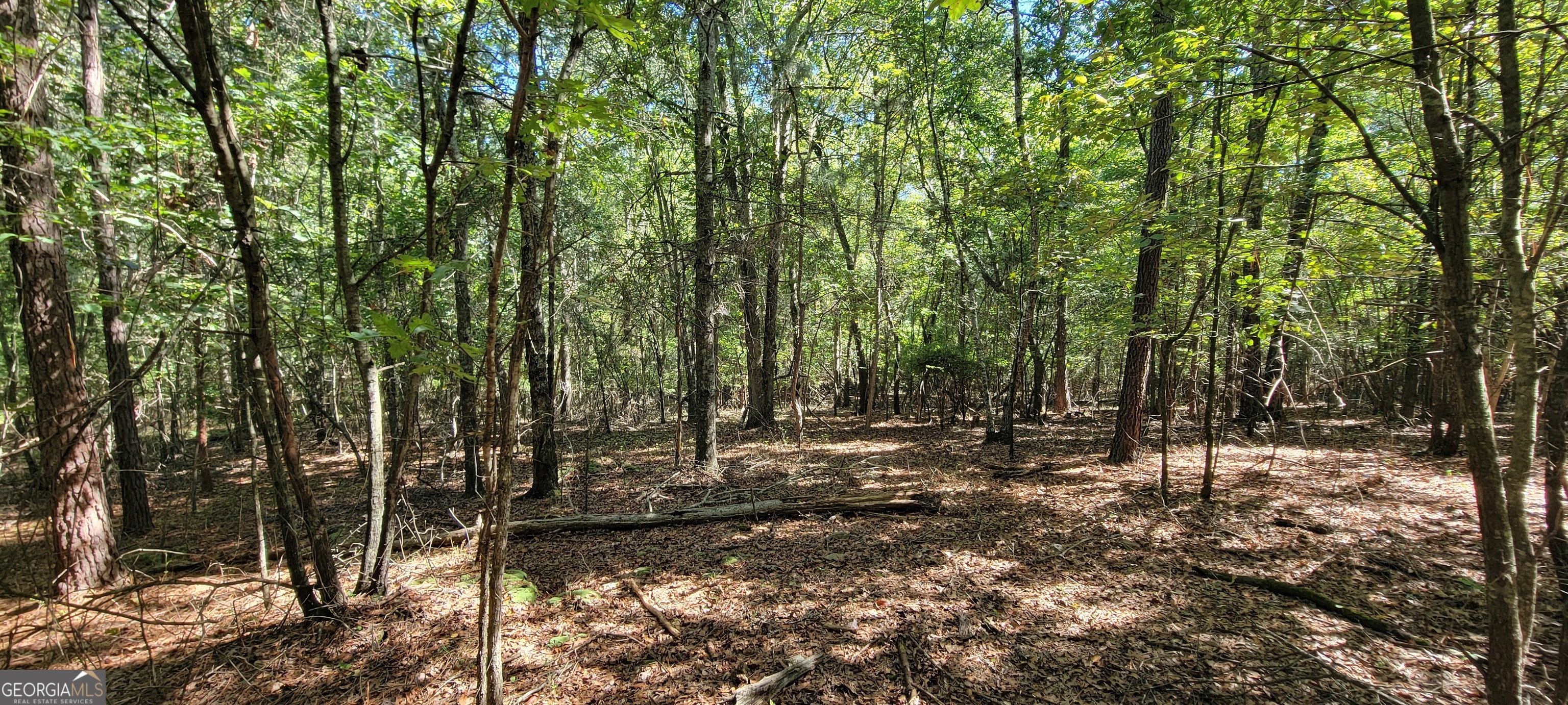 5 Ripplewood Trail Euharlee GA 30145