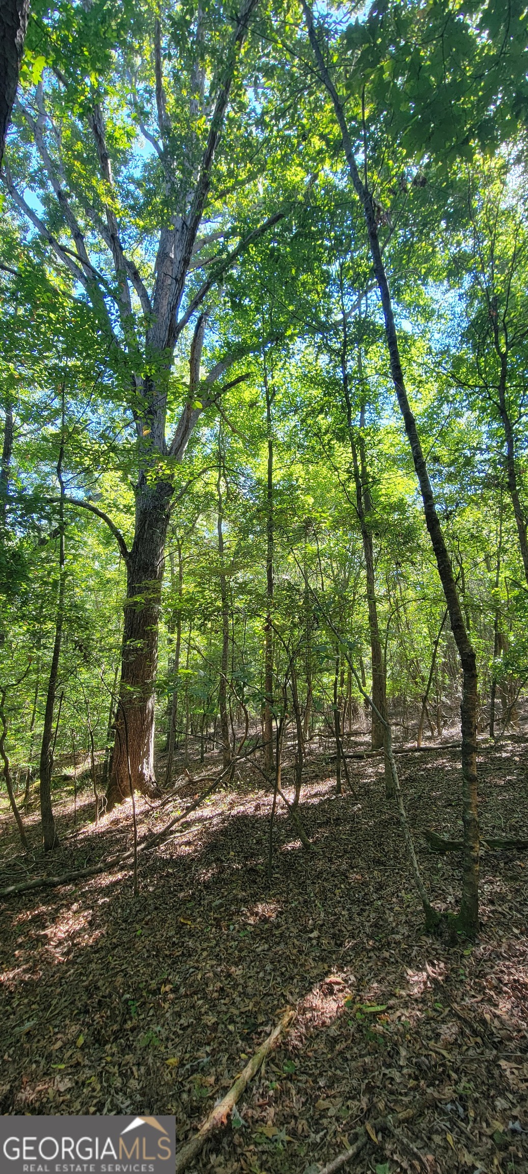 5 Ripplewood Trail Euharlee GA 30145