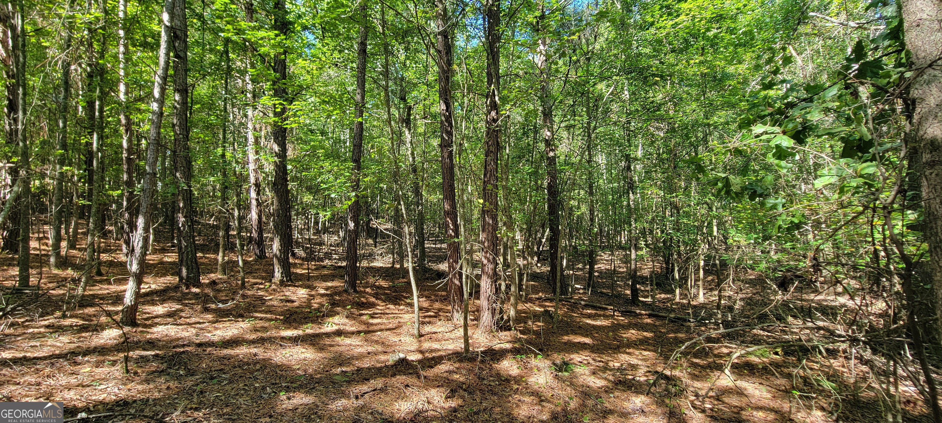 5 Ripplewood Trail Euharlee GA 30145