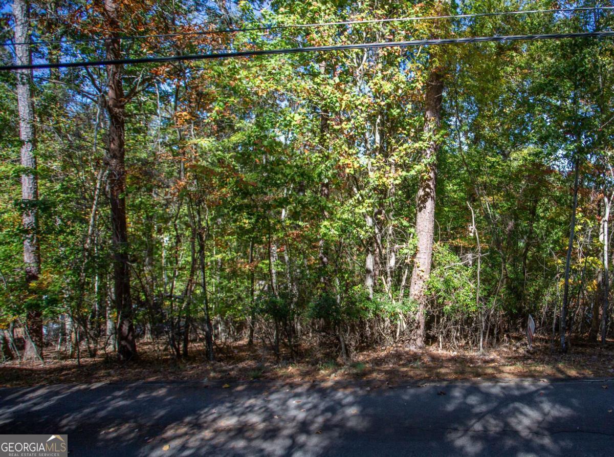 7836 Beachwood Drive Murrayville GA 30564