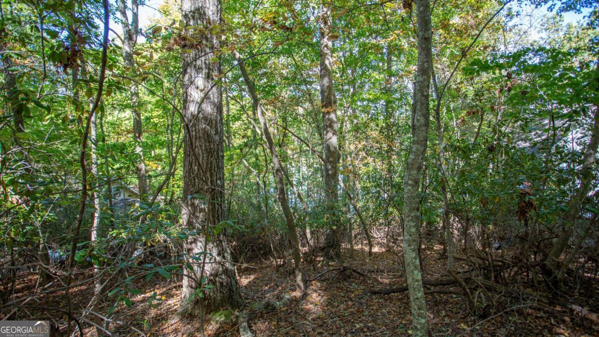 7836 Beachwood Drive Murrayville GA 30564