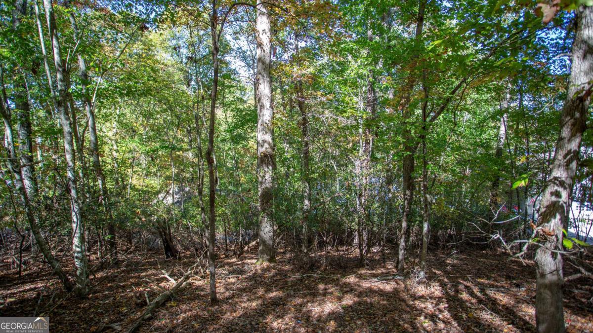 7836 Beachwood Drive Murrayville GA 30564