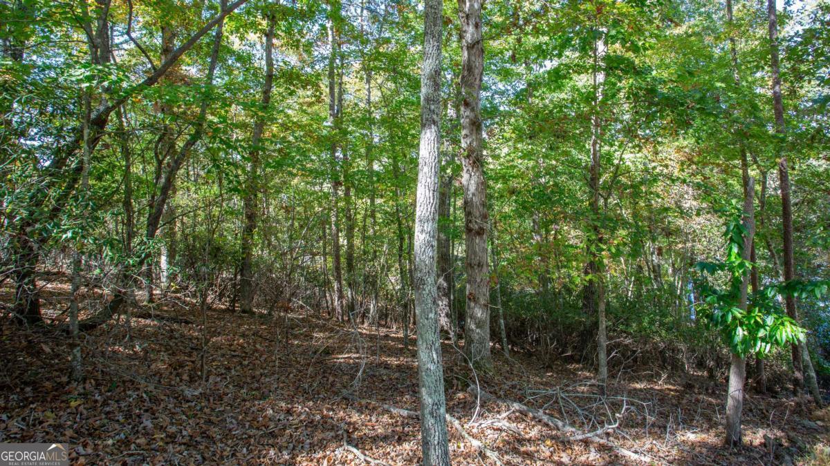 7836 Beachwood Drive Murrayville GA 30564