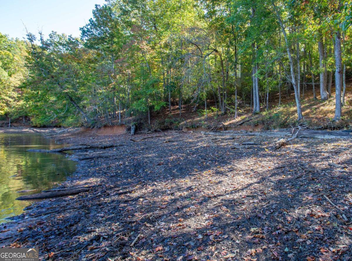 7836 Beachwood Drive Murrayville GA 30564