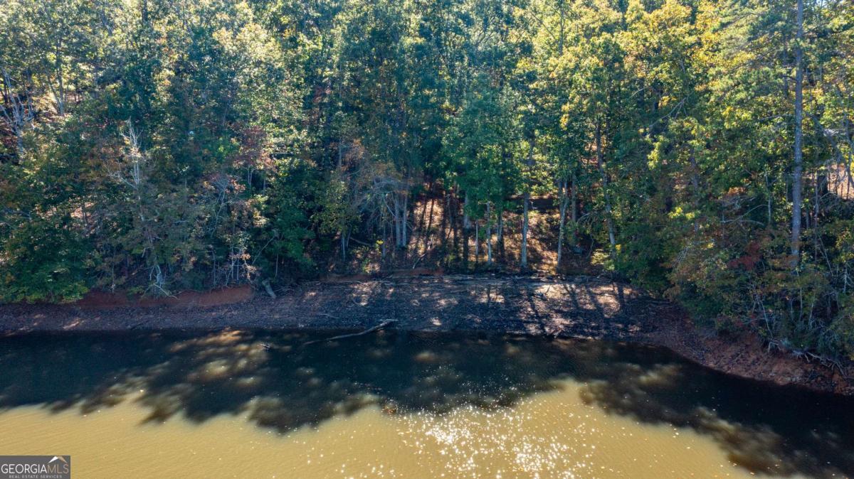 7836 Beachwood Drive Murrayville GA 30564