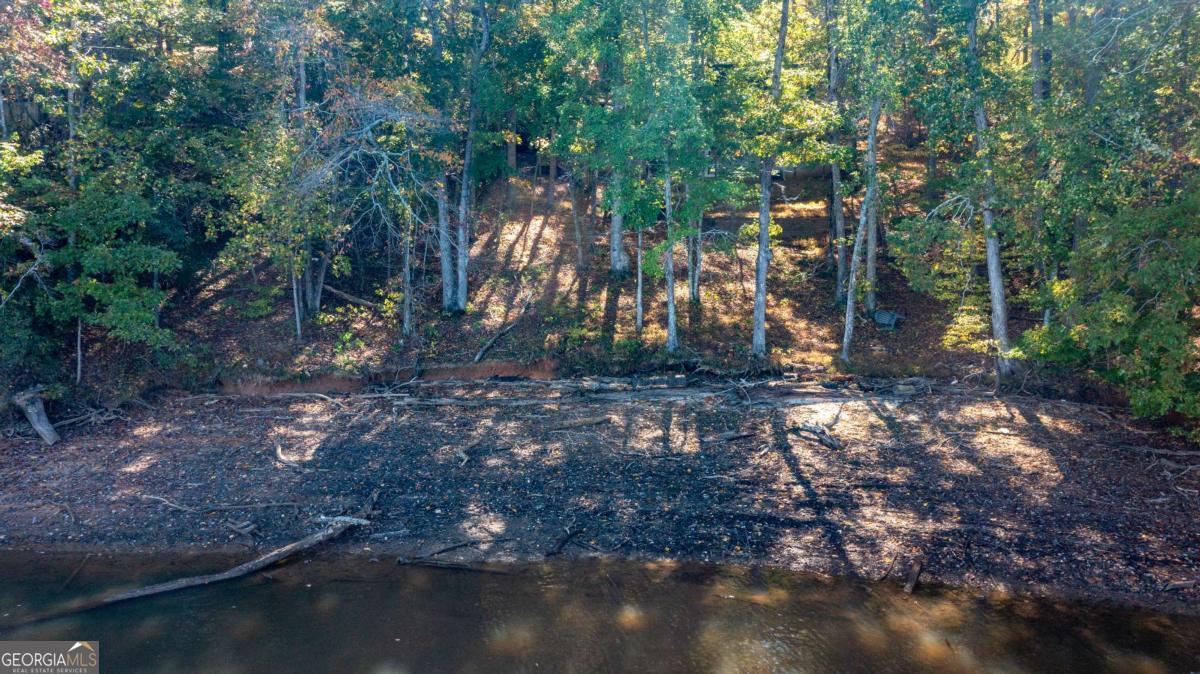 7836 Beachwood Drive Murrayville GA 30564