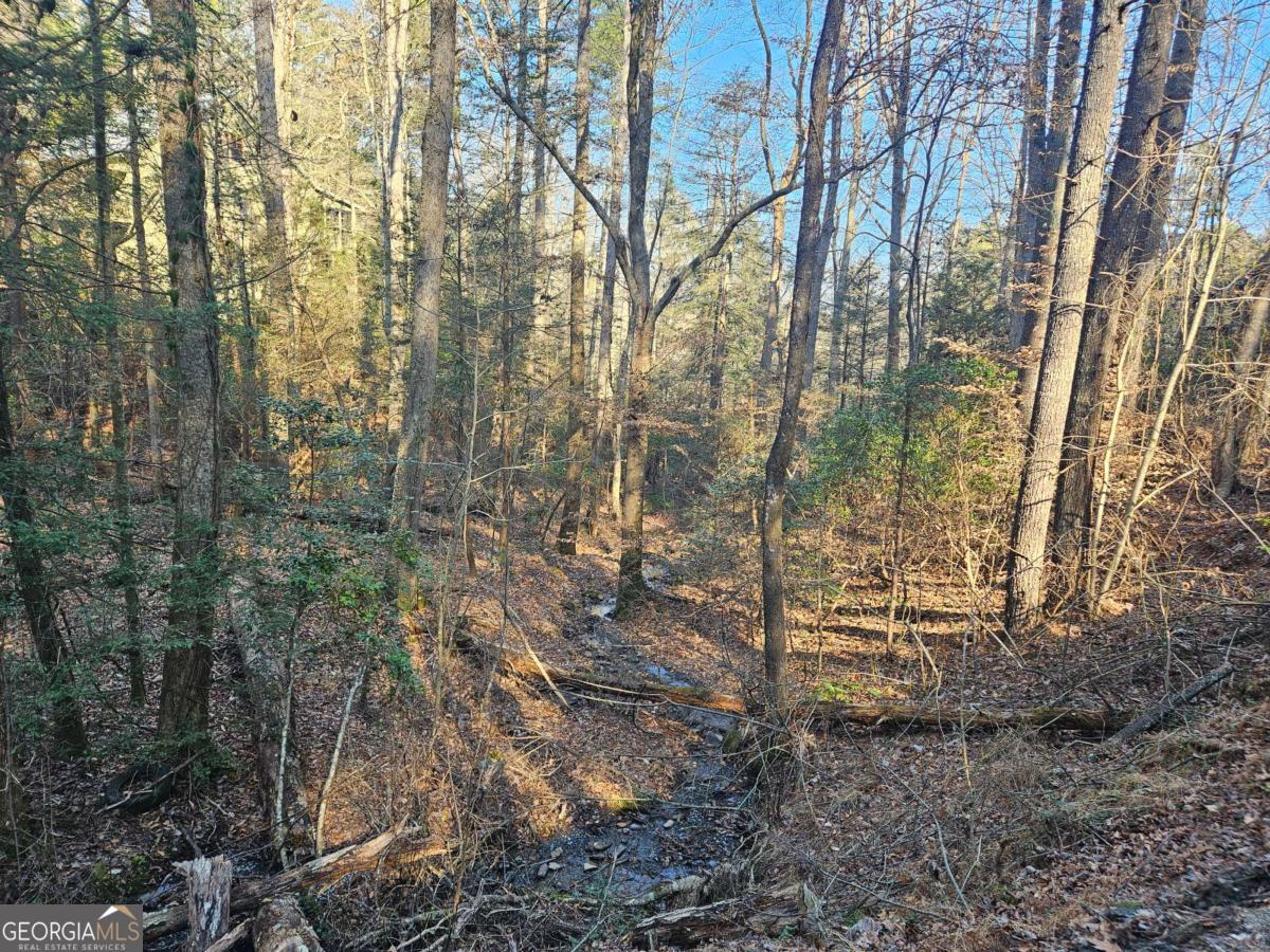 Lt 1620 Nexus Drive Ellijay GA 30540