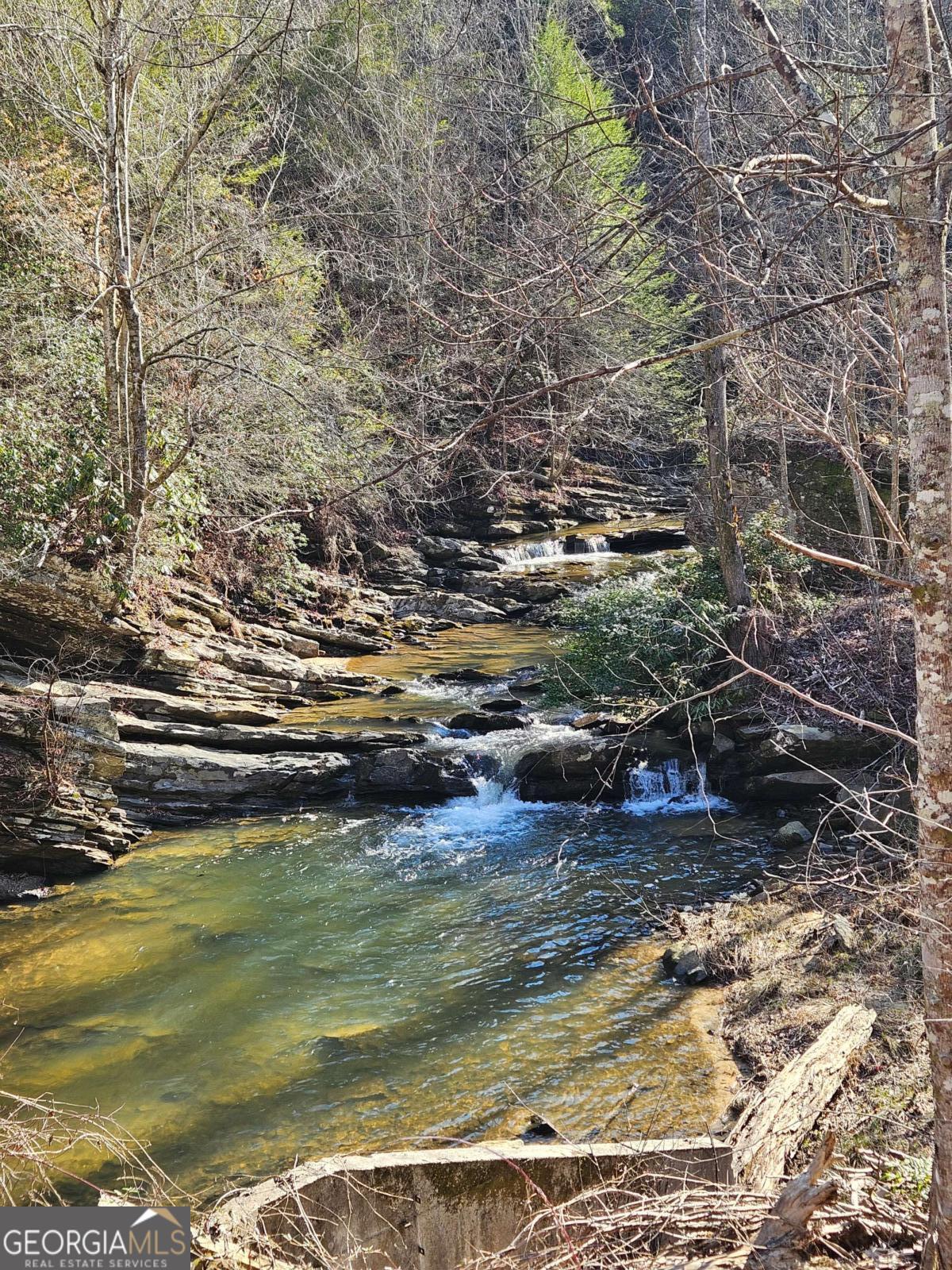 Lt 1620 Nexus Drive Ellijay GA 30540