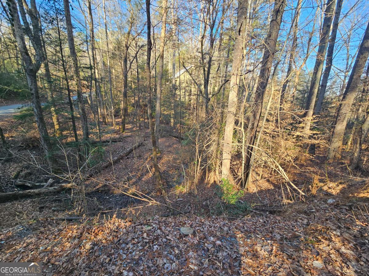 Lt 1620 Nexus Drive Ellijay GA 30540