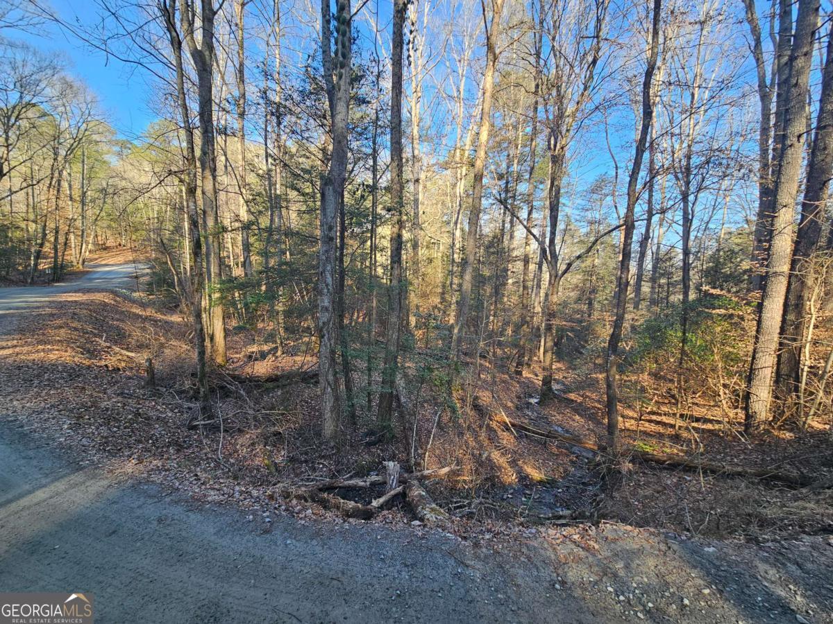 Lt 1620 Nexus Drive Ellijay GA 30540