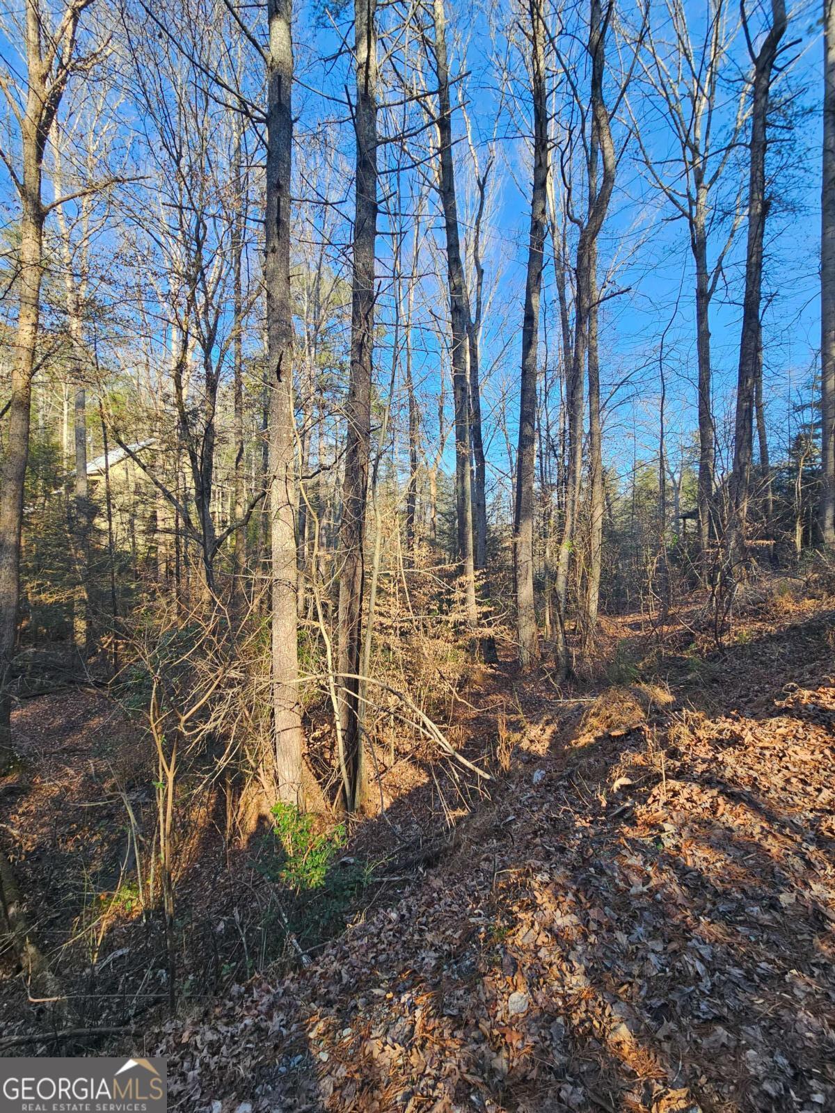 Lt 1620 Nexus Drive Ellijay GA 30540