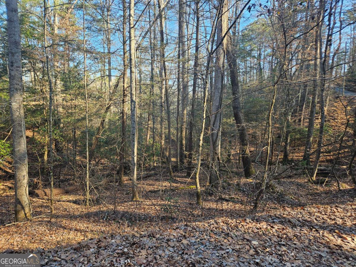Lt 1620 Nexus Drive Ellijay GA 30540