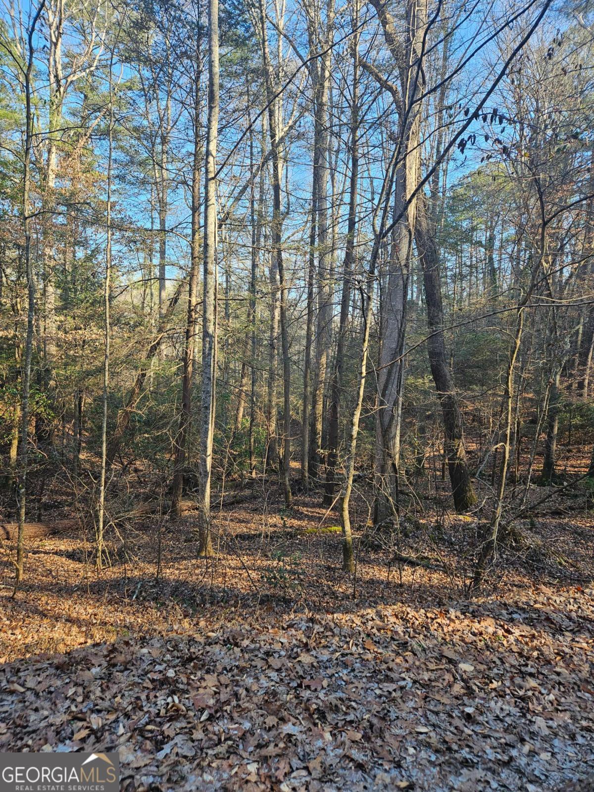Lt 1620 Nexus Drive Ellijay GA 30540