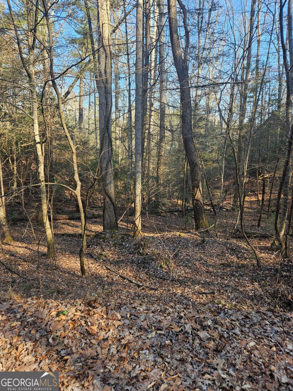 Lt 1620 Nexus Drive Ellijay GA 30540