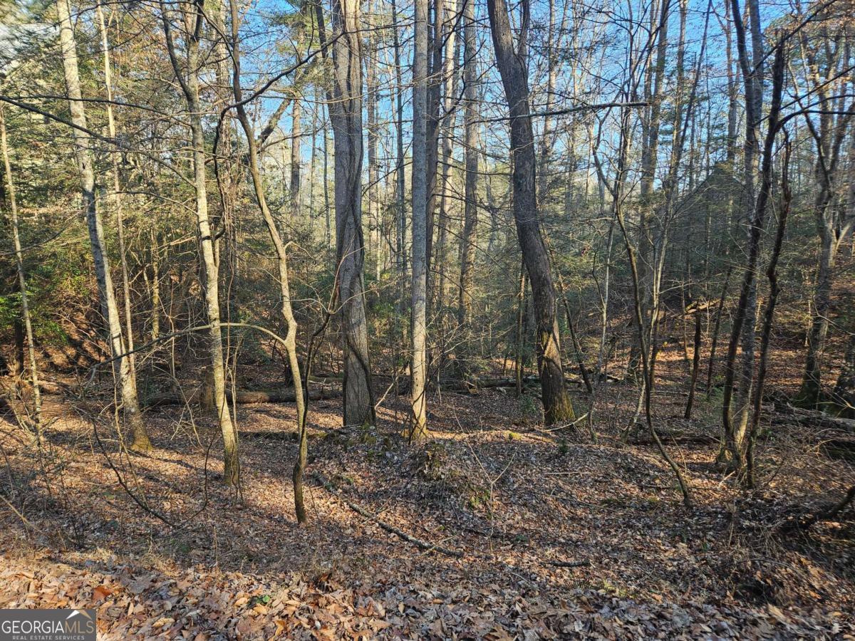 Lt 1620 Nexus Drive Ellijay GA 30540