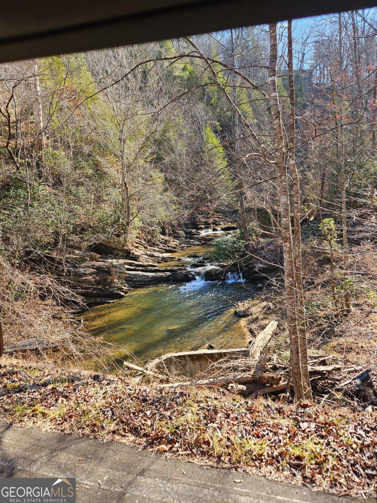 Lt 1620 Nexus Drive Ellijay GA 30540