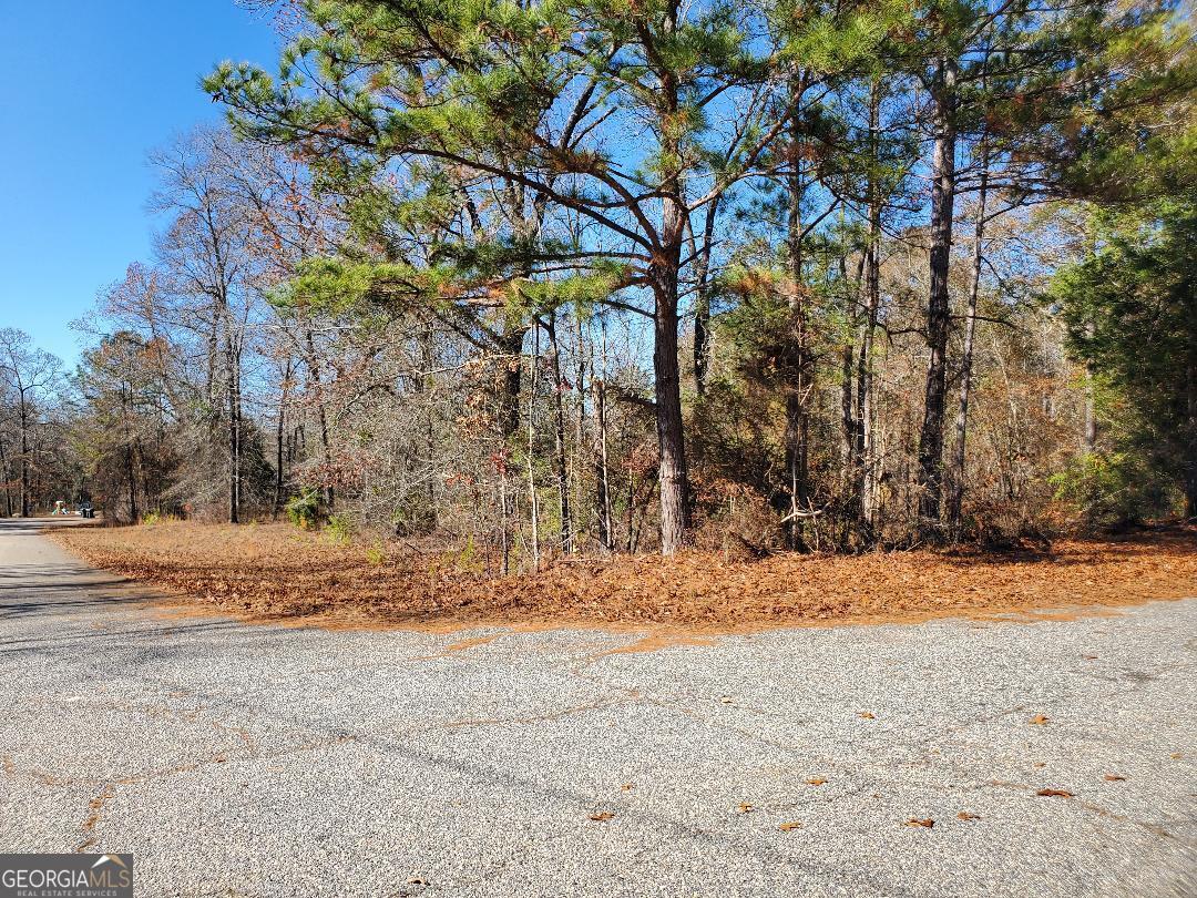 0 Tyler Court Fort Valley GA 31030