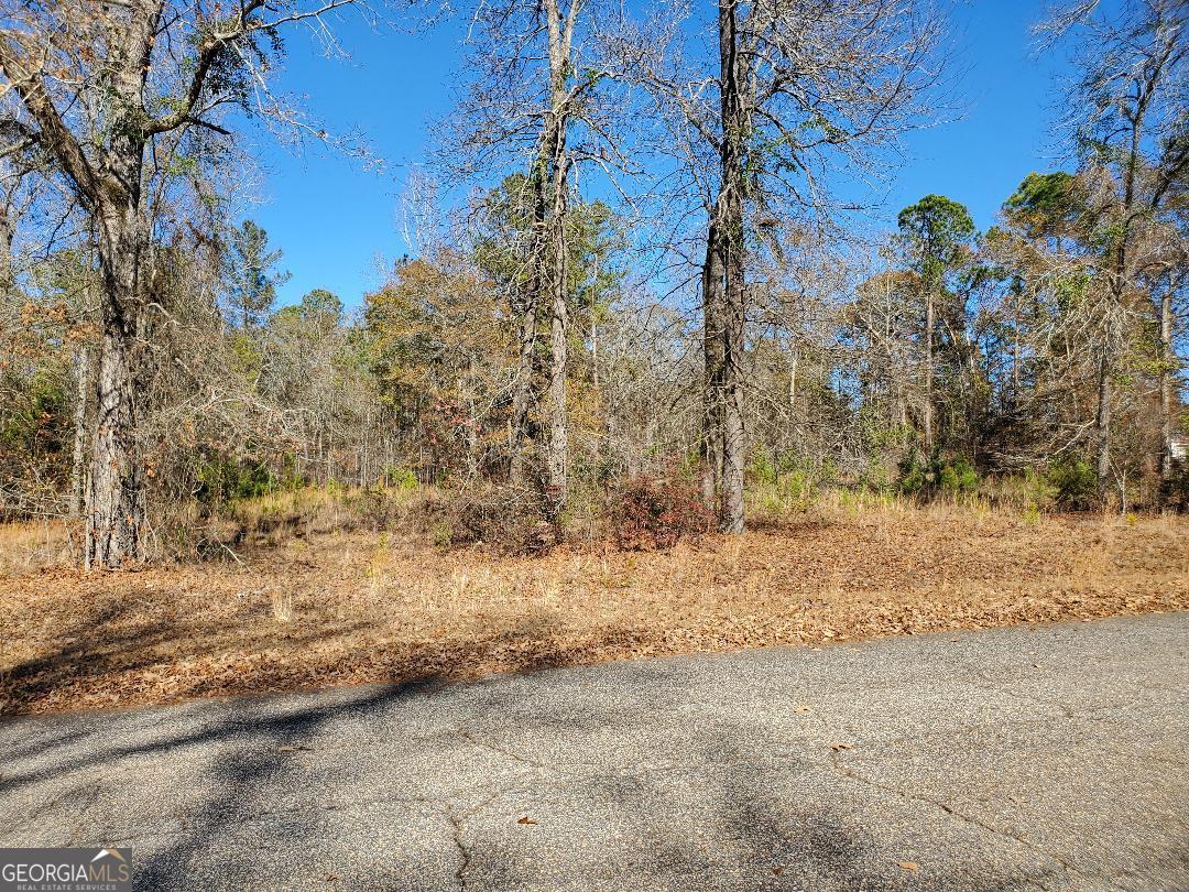0 Tyler Court Fort Valley GA 31030