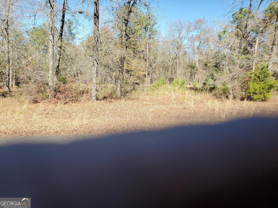 0 Tyler Court Fort Valley GA 31030