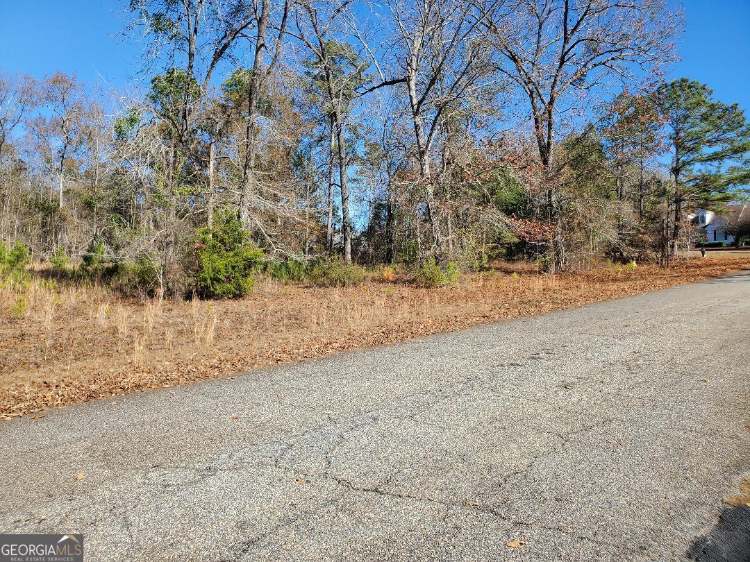 0 Tyler Court Fort Valley GA 31030
