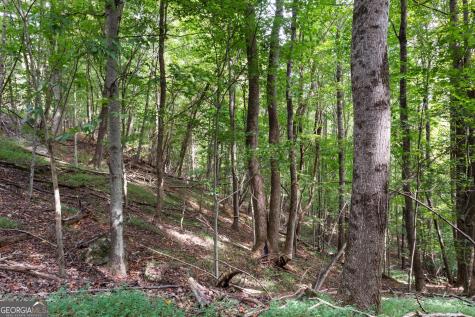 0 Sal Mountain Way Sautee Nacoochee GA 30571