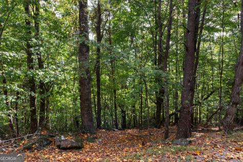 0 Sal Mountain Way Sautee Nacoochee GA 30571