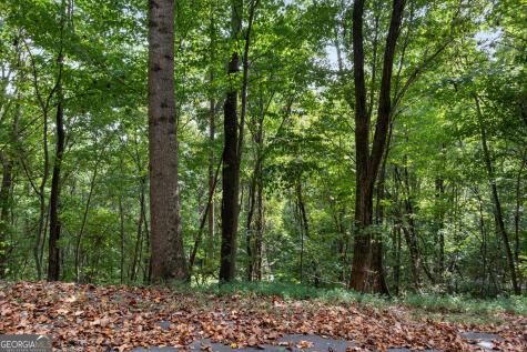 0 Sal Mountain Way Sautee Nacoochee GA 30571