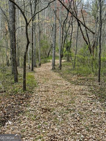 Lot 31 Blue Horizon Drive Blue Ridge GA 30513