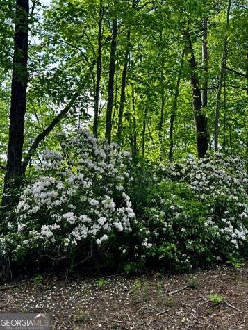 Lot 31 Blue Horizon Drive Blue Ridge GA 30513
