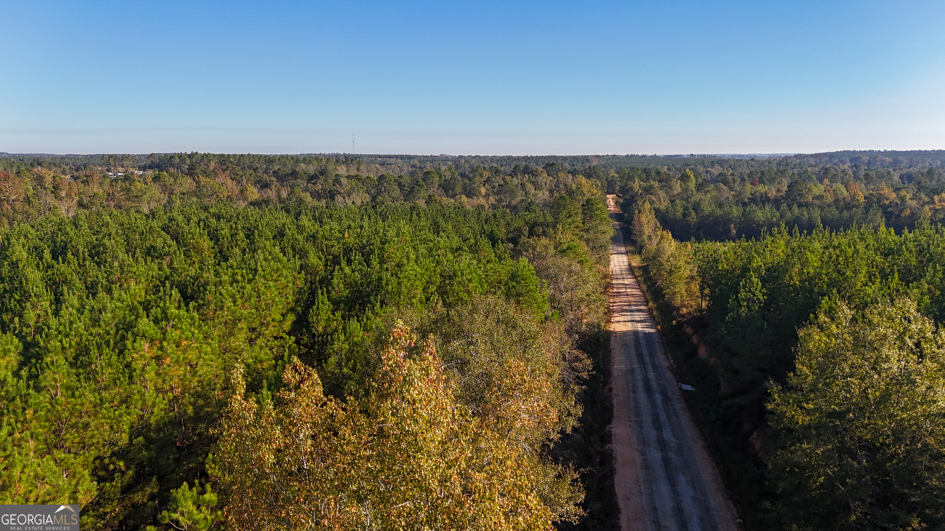 0 Raymond Wilkes Road Rockledge GA 30454
