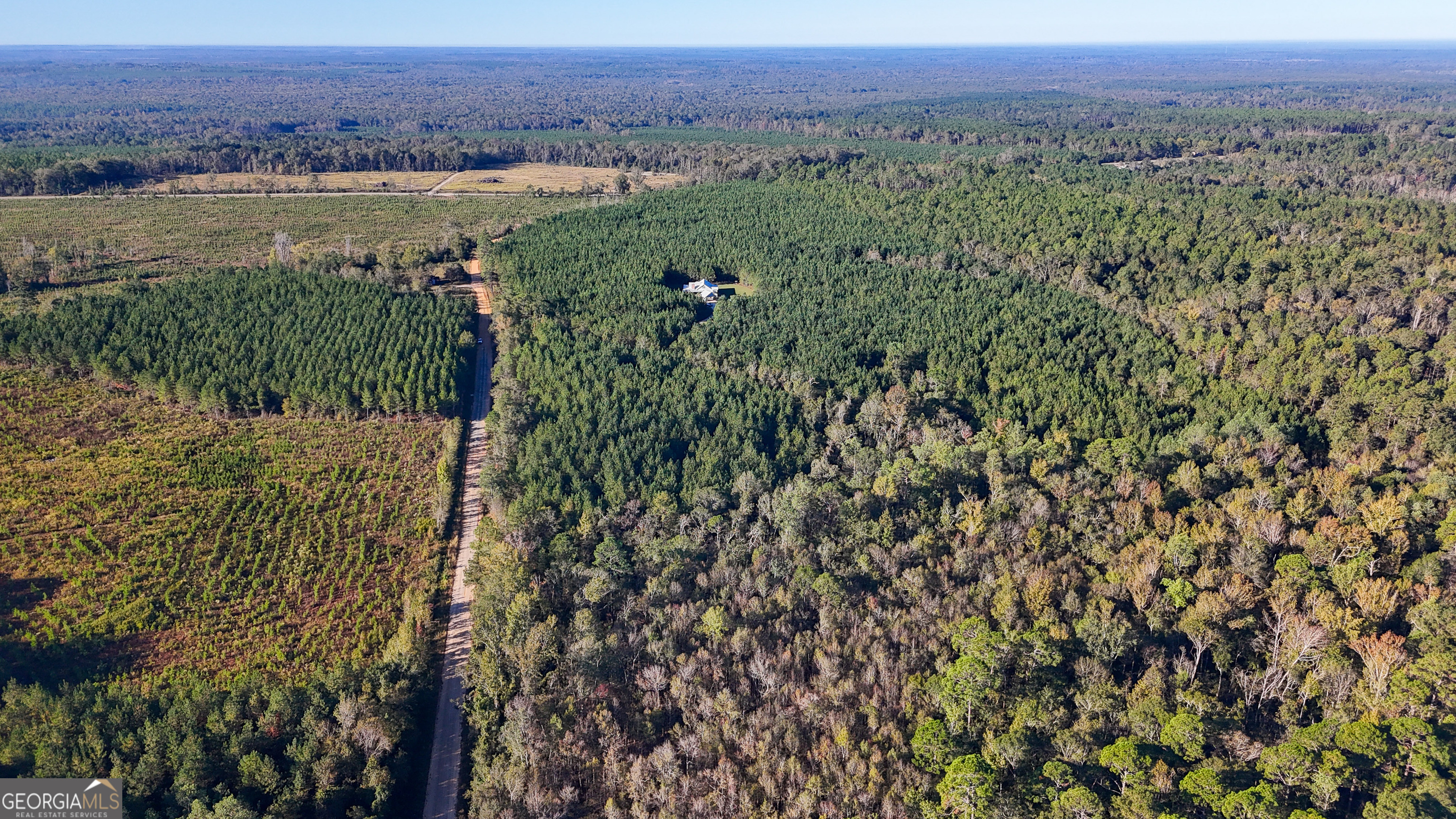 0 Raymond Wilkes Road Rockledge GA 30454