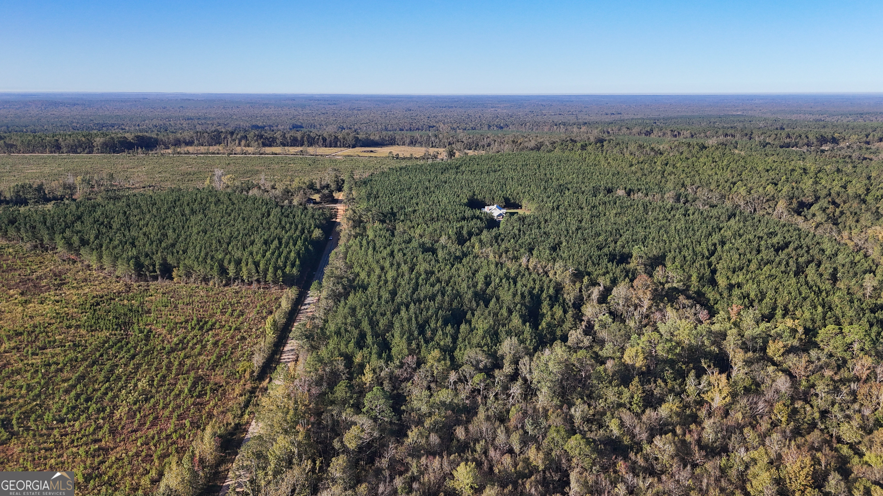0 Raymond Wilkes Road Rockledge GA 30454