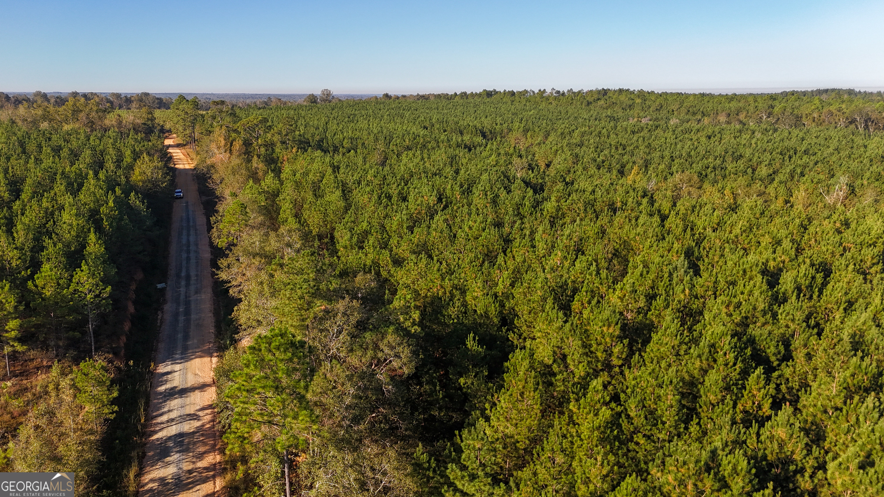 0 Raymond Wilkes Road Rockledge GA 30454